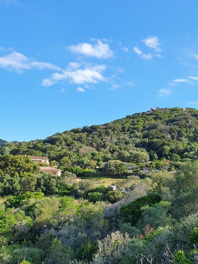 Bel Appartement Dans Hameau Calme Bonifacio  Eksteriør bilde